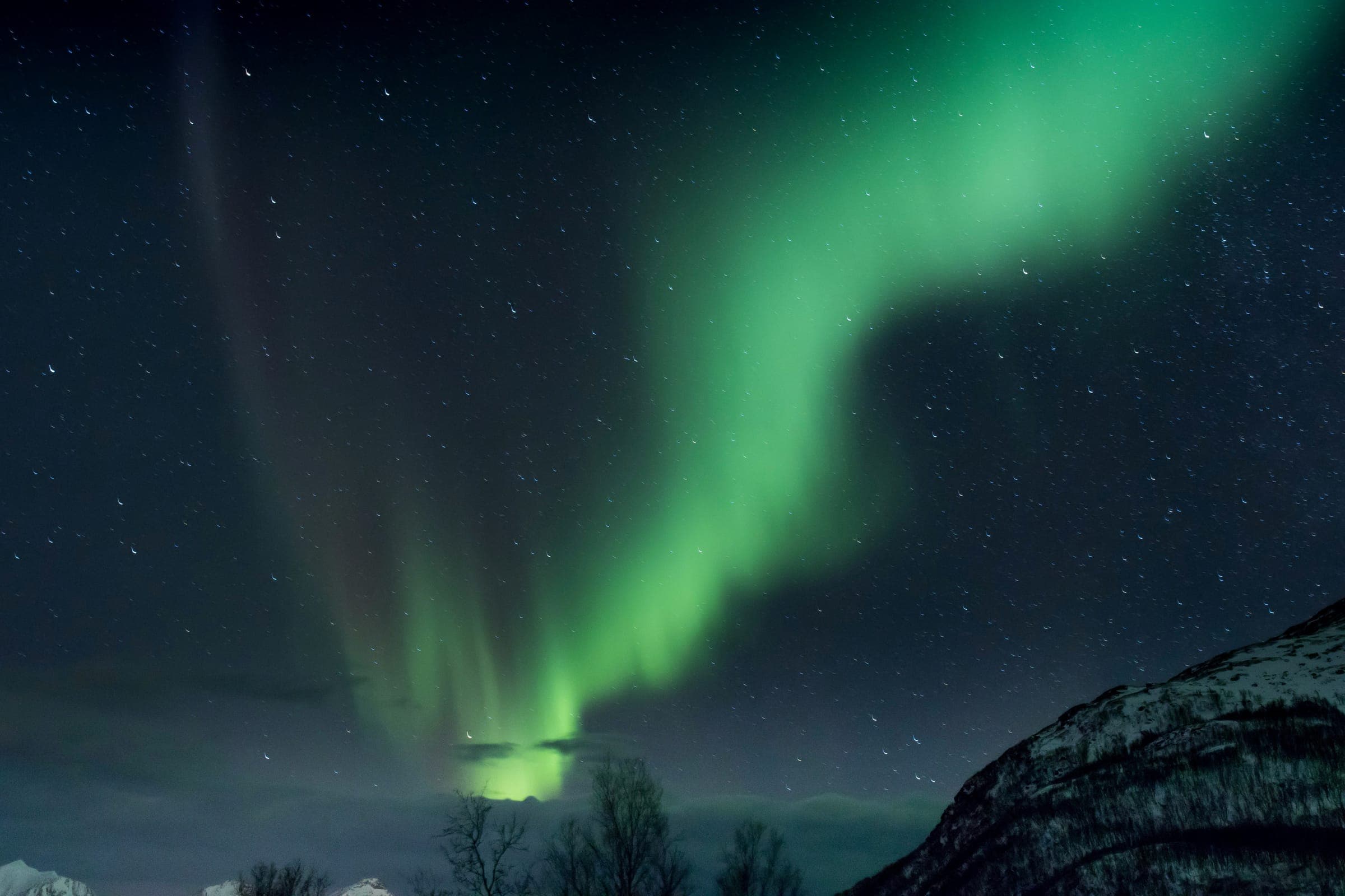 Northern Lights Hunt